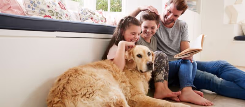5-ways-a-furry-friend-can-help-your-family-unplug-and-reconnect